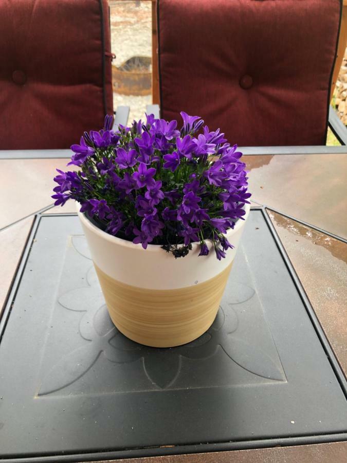 Peaceful Talkeetna Getaway #3 Villa Екстериор снимка